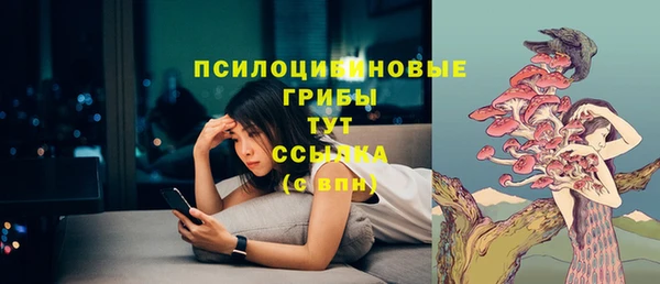 амф Алзамай